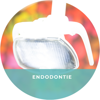 Endodontie